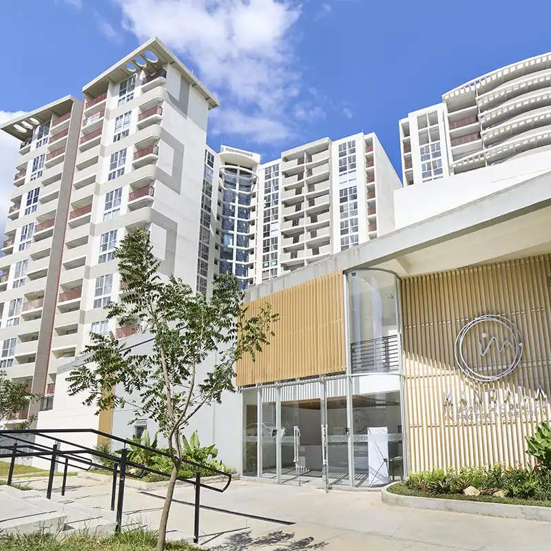Proyecto Mandala Ibagué